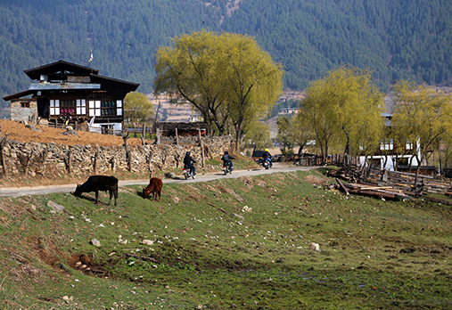 Motorcycle Adventure in Bhutan