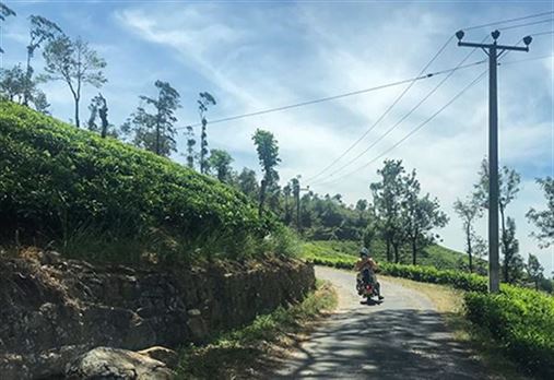 Royal Enfield Guided Tour in Sri Lanka