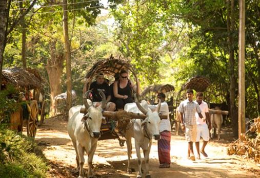 Sri Lanka Motorbike Tour