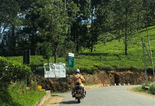 Sri Lanka Motorcycle Tour
